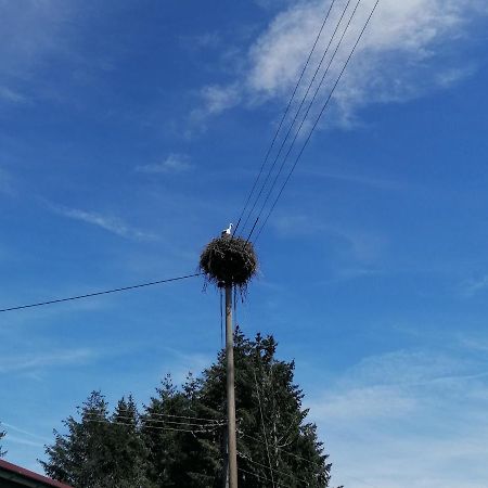 Schwarzwald Appartement Steinen  Bagian luar foto