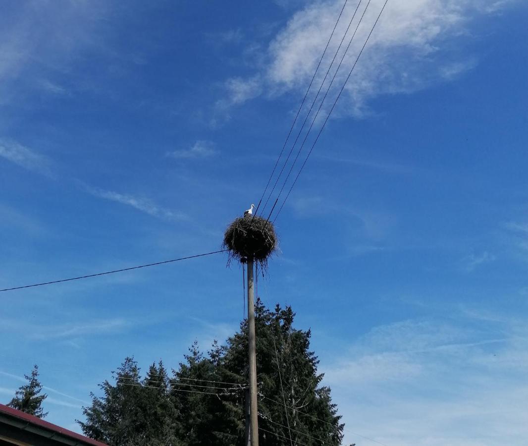 Schwarzwald Appartement Steinen  Bagian luar foto