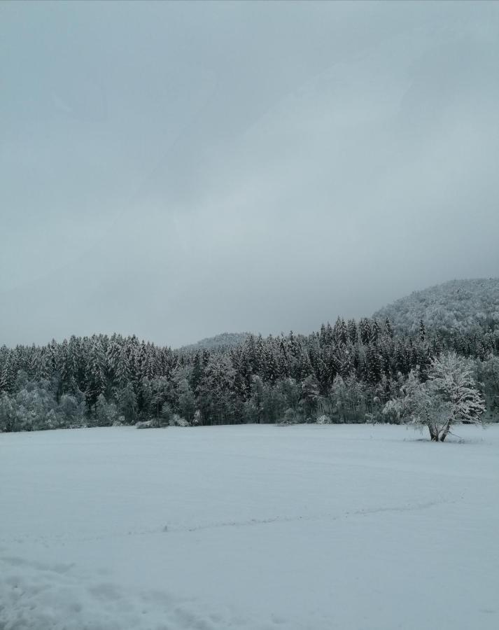 Schwarzwald Appartement Steinen  Bagian luar foto